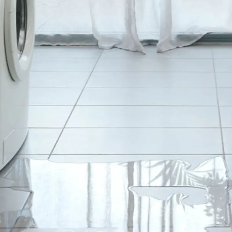Appliance Leak Cleanup in Paris, KY