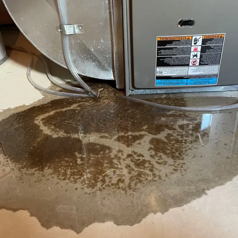 Pipe Burst and Leak Restoration in Paris, KY