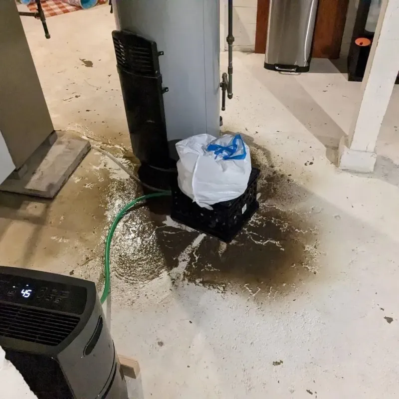 Sewage Backup Cleanup Service in Paris, KY
